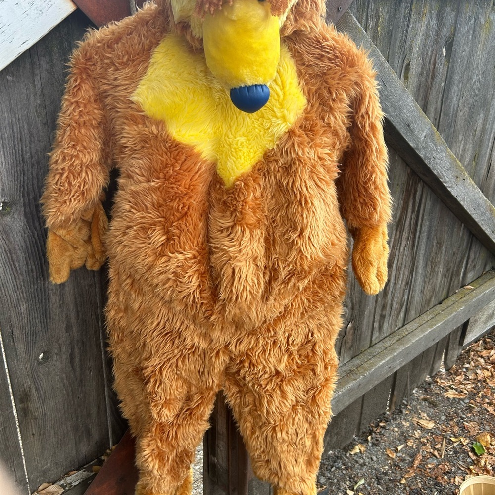 Disney Brown and Yellow Bear Costume